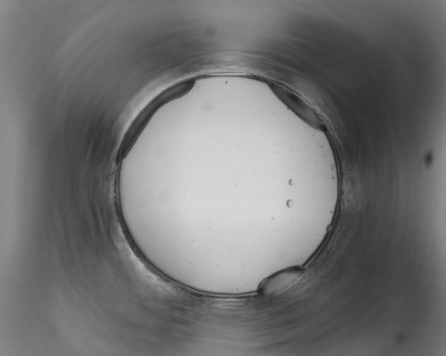X0000114561484200911301236