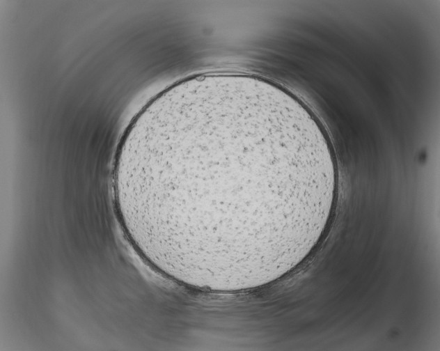 X0000114561485200911301236