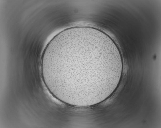 X0000114561486200911301236