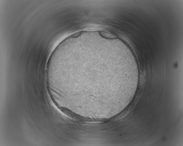 X0000114561487200911301236