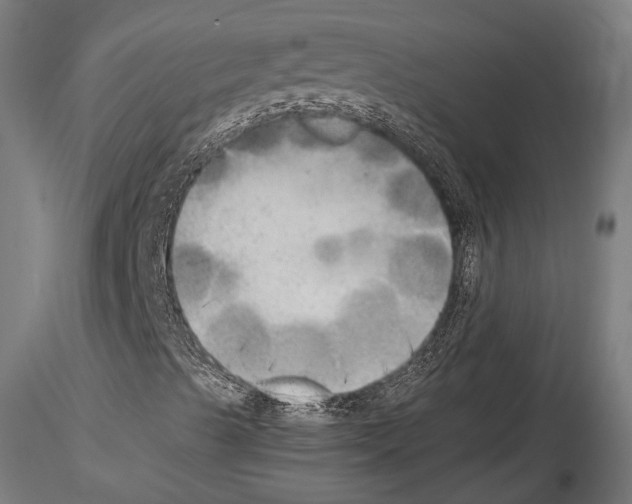 X0000114561489200911301235