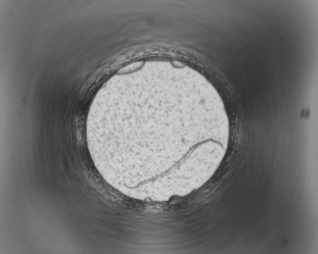 X0000114561490200911301235