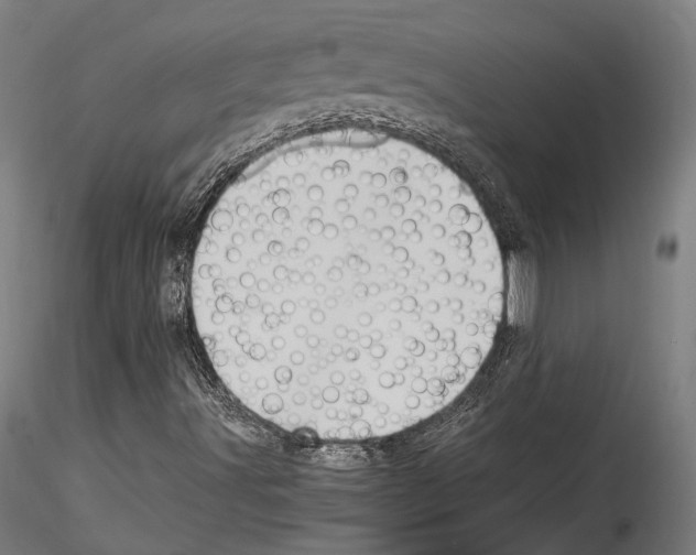 X0000114561491200911301235