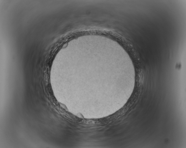 X0000114561493200911301235