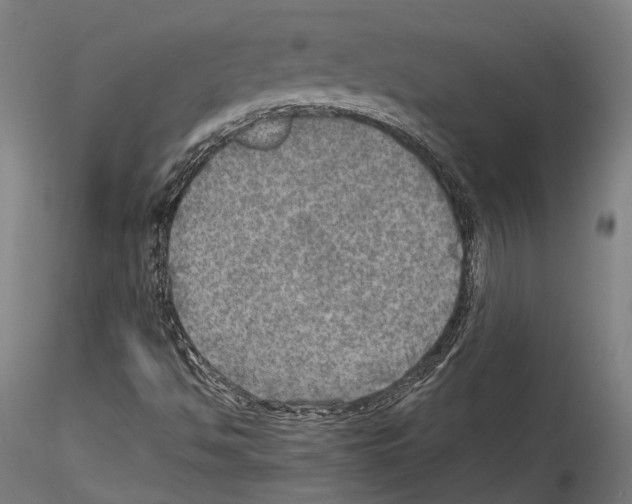 X0000114561494200911301235