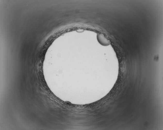 X0000114561495200911301235
