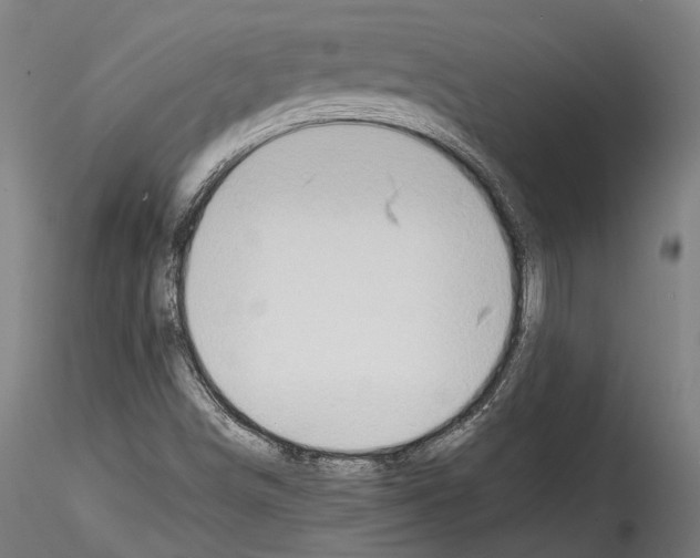 X0000114561498200911301235