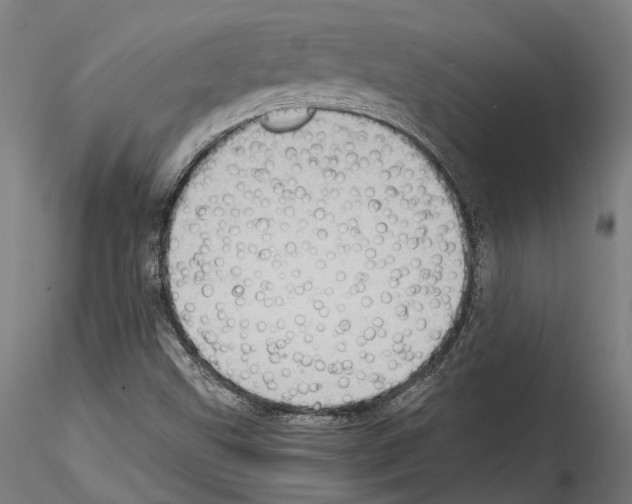 X0000114561499200911301235