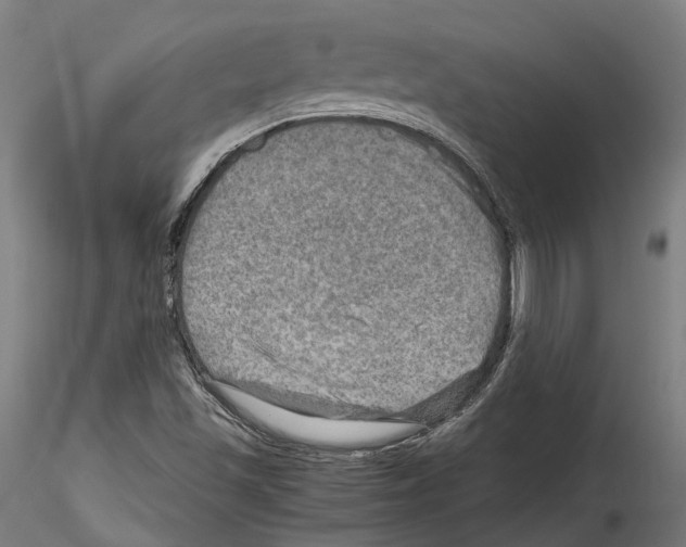 X0000114561501200911301235