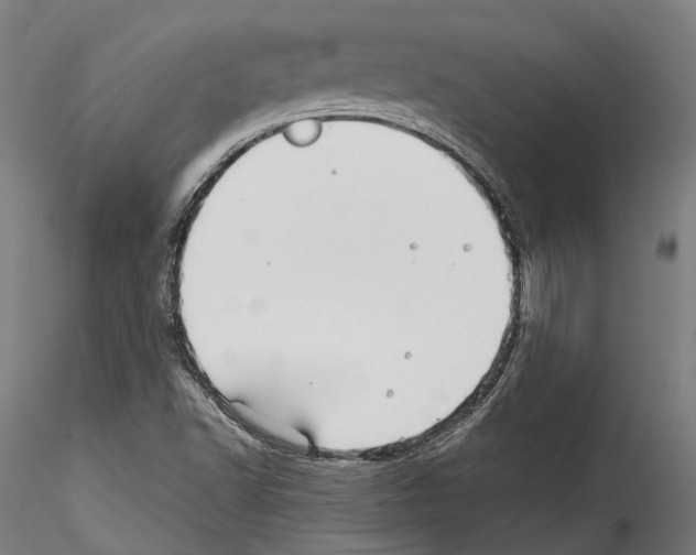 X0000114561502200911301235