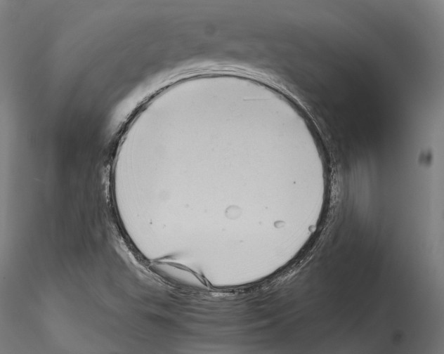 X0000114561503200911301235