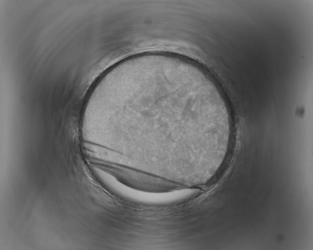 X0000114561505200911301235