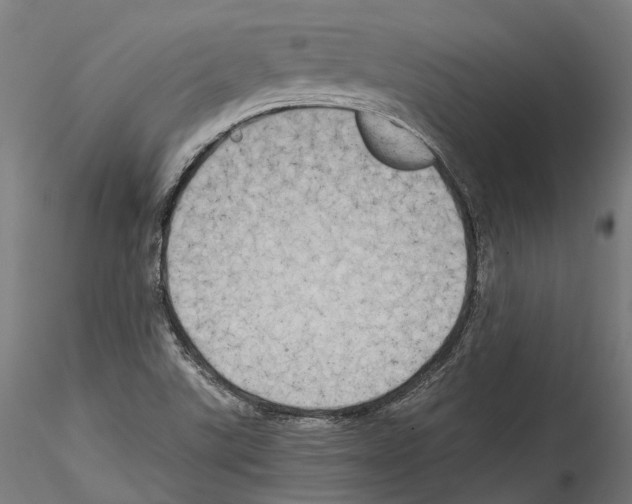 X0000114561507200911301235