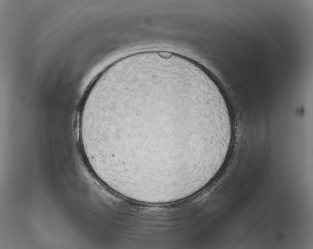 X0000114561510200911301235