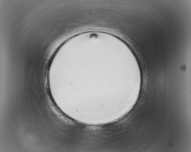 X0000114561511200911301236