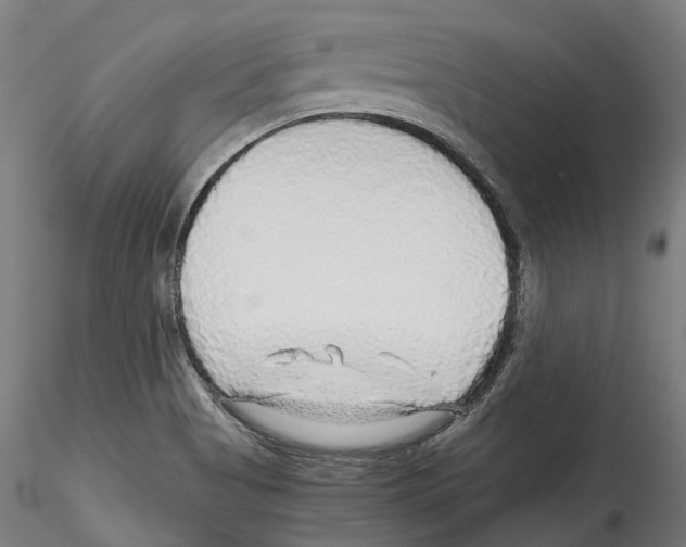 X0000114561513200911301236