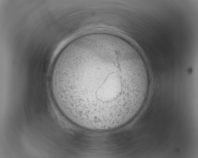 X0000114561514200911301236