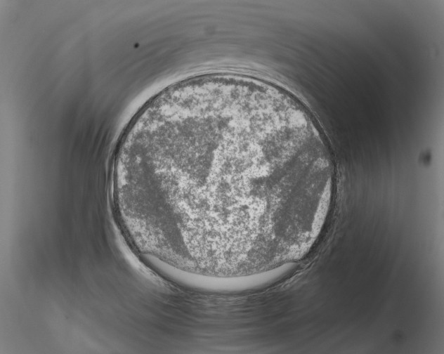 X0000114561515200911301236