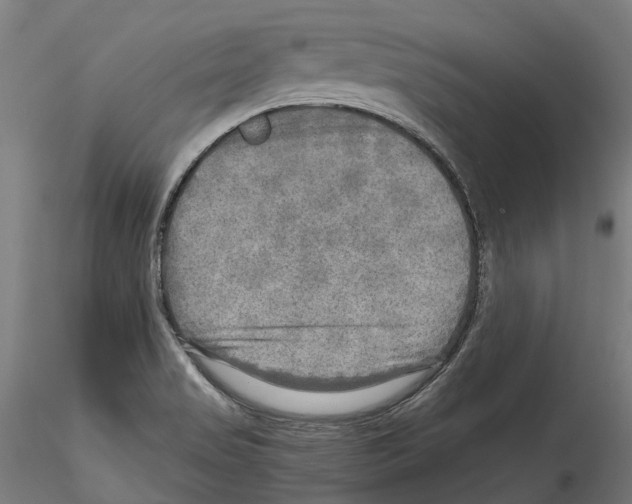 X0000114561517200911301236