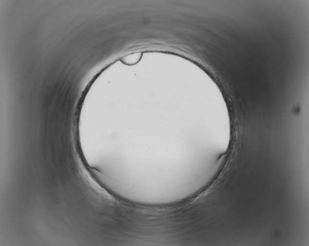 X0000114561518200911301236