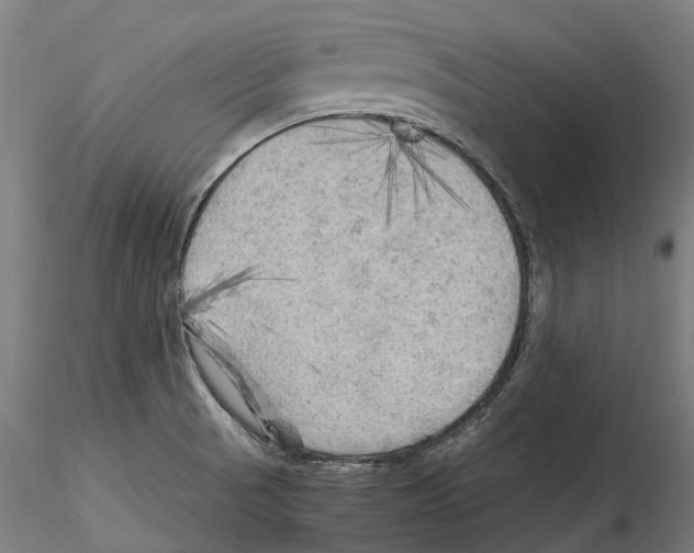 X0000114561521200911301236