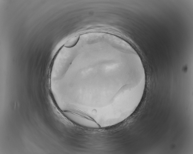 X0000114561522200911301236