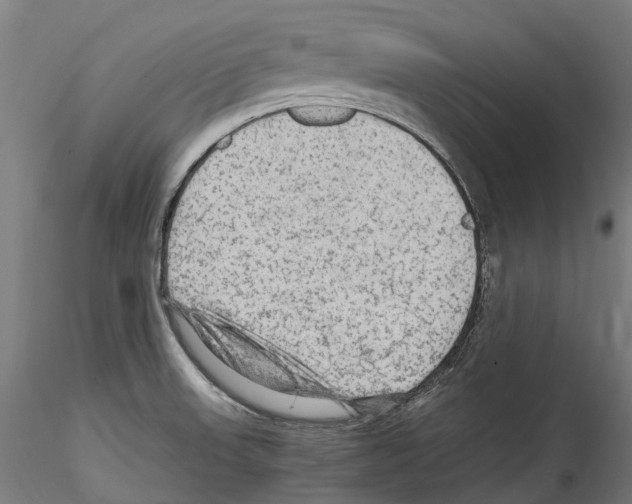 X0000114561523200911301236