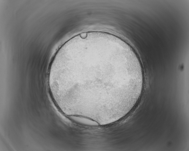 X0000114561525200911301236