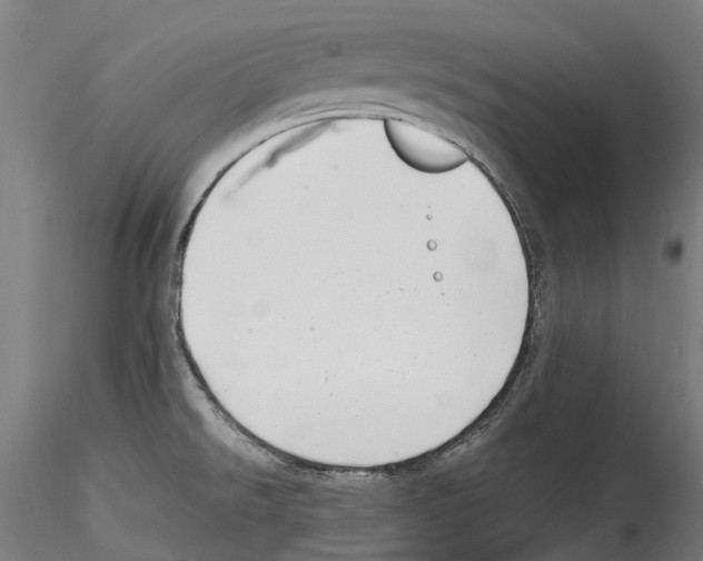 X0000114561526200911301236