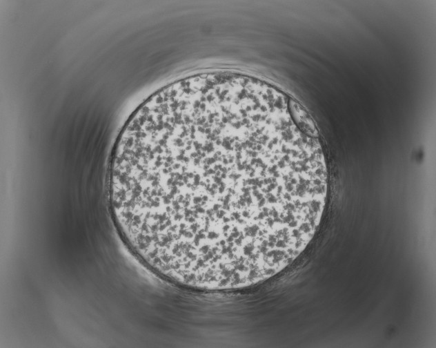 X0000114561527200911301236