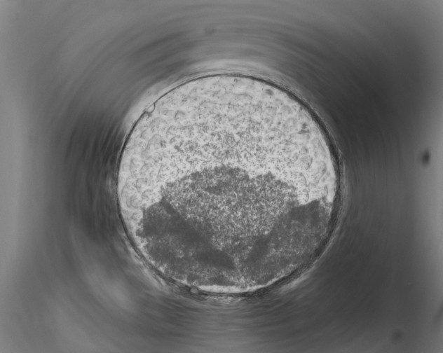 X0000114561529200911301236