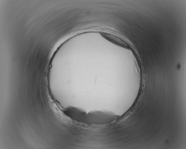 X0000114561530200911301236