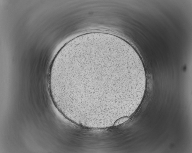 X0000114561531200911301236