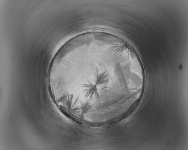 X0000114561533200911301236