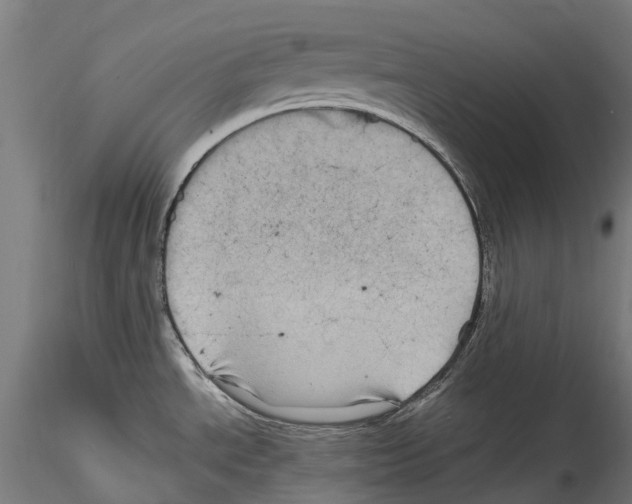 X0000114561534200911301236