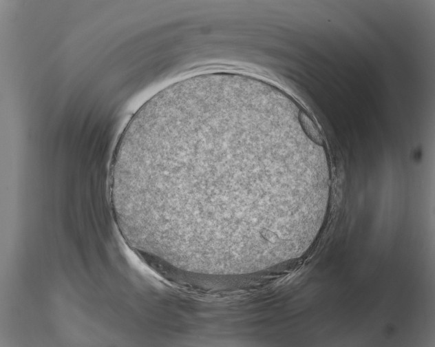 X0000114561535200911301236