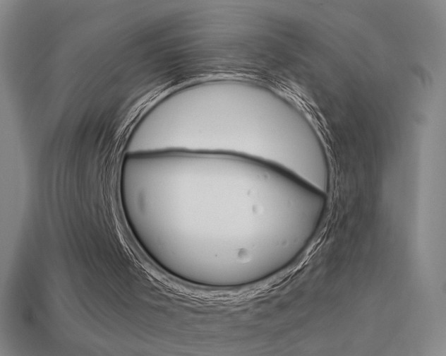 X0000114570001200910191043