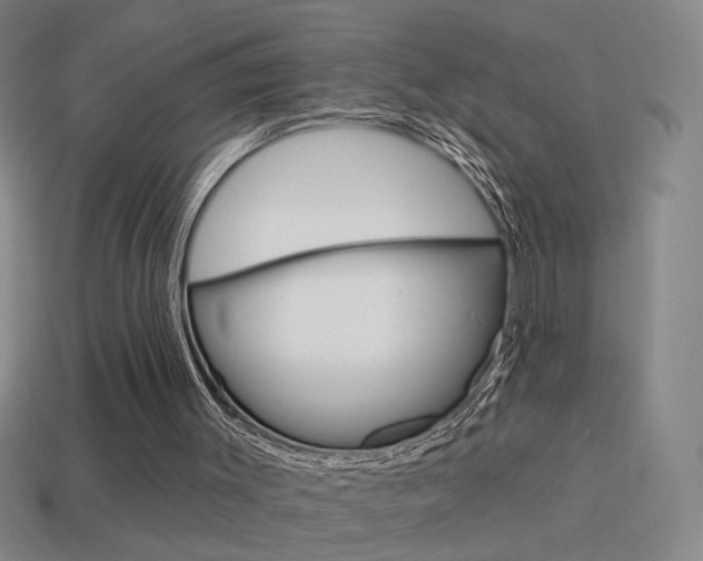 X0000114570003200910191043