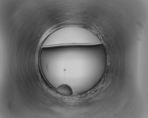 X0000114570004200910191043