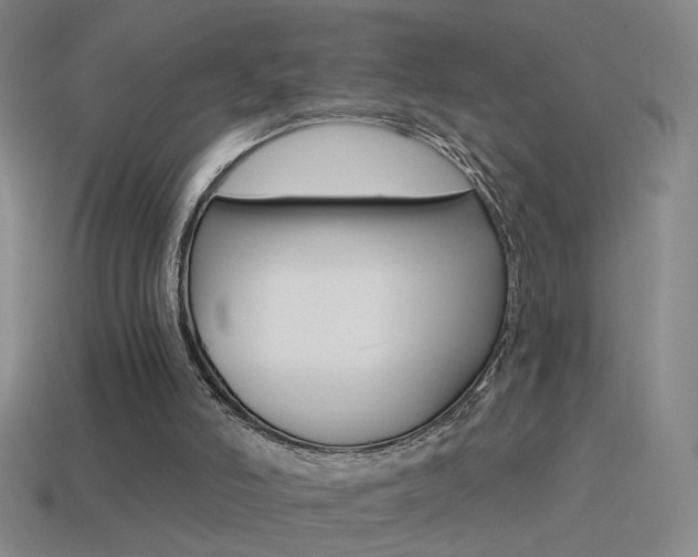 X0000114570006200910191043