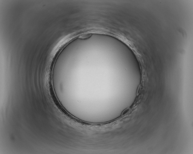 X0000114570007200910191043