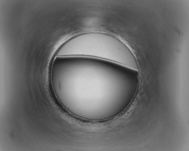 X0000114570008200910191043