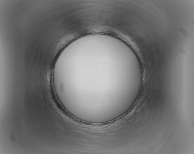X0000114570010200910191043