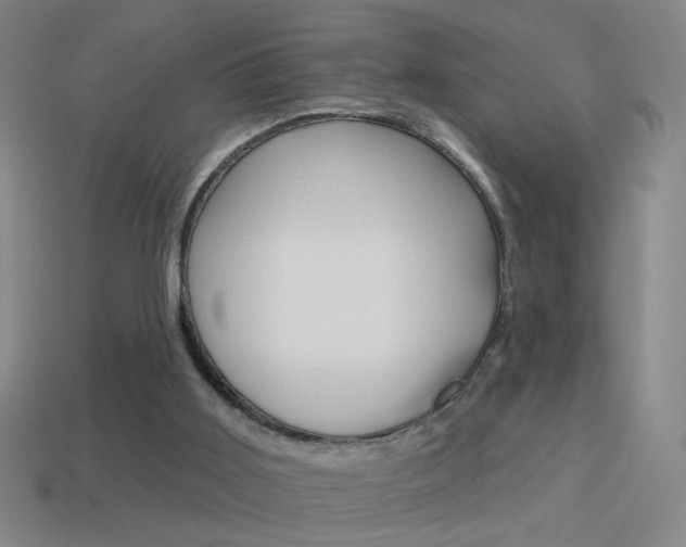 X0000114570011200910191043