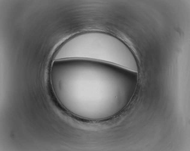 X0000114570012200910191043