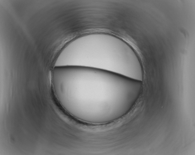 X0000114570013200910191043