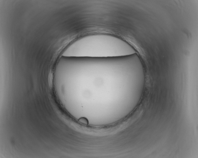 X0000114570014200910191043