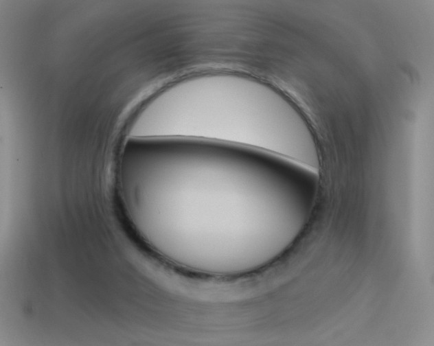 X0000114570016200910191043