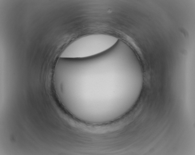 X0000114570018200910191043