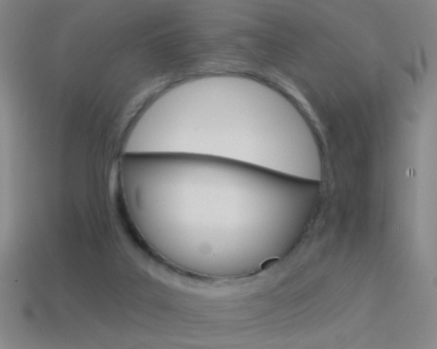 X0000114570019200910191043